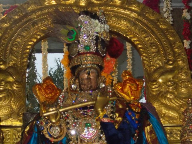 Kanchi Devaperumal Dhavana utsavam day 3   2014 -12
