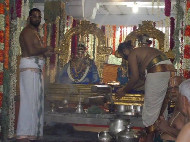 Kanchi Devaperumal Dhavana utsavam day 3   2014 -13