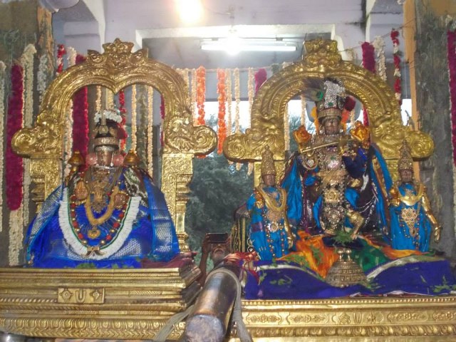 Kanchi Devaperumal Dhavana utsavam day 3   2014 -16