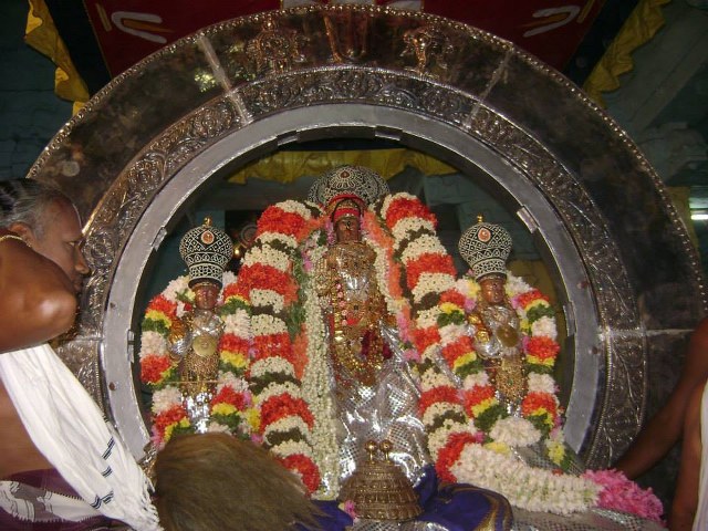 Kanchi Devaperumal Rathasapthami Chandra Prabhai Purappadui 2014 -06