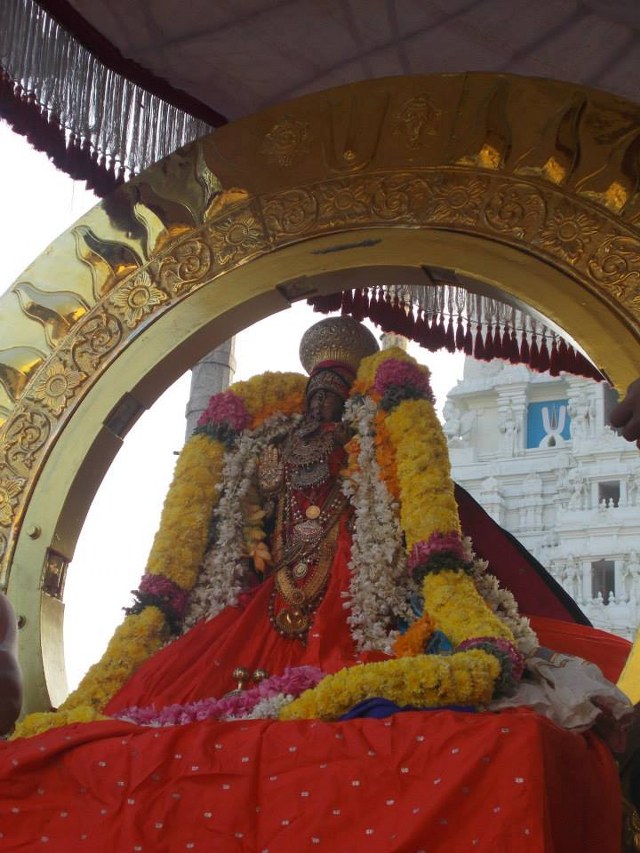 Kanchi Varadharaja  Rathasapthami SUrya Prabhai 2014 -05