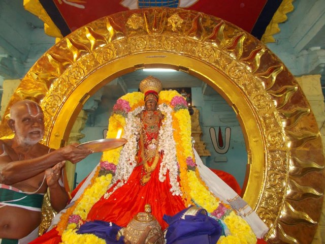 Kanchi Varadharaja  Rathasapthami SUrya Prabhai 2014 -07