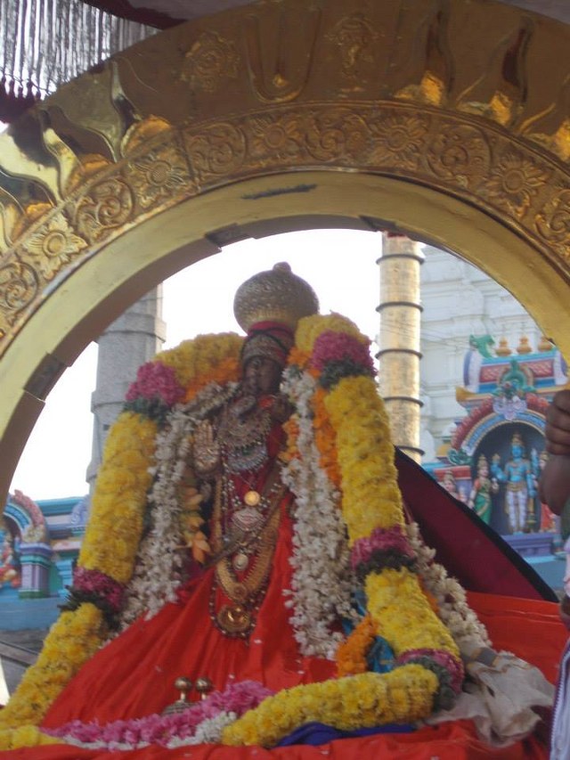 Kanchi Varadharaja  Rathasapthami SUrya Prabhai 2014 -10