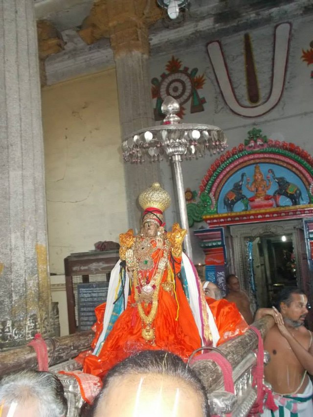 Kanchi Varadharaja  Rathasapthami SUrya Prabhai 2014 -14