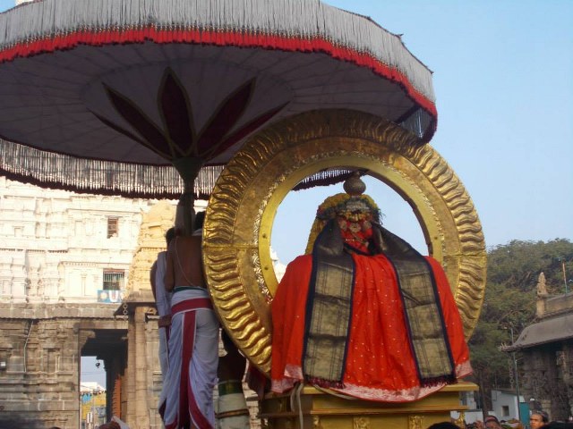Kanchi Varadharaja  Rathasapthami SUrya Prabhai 2014 -21