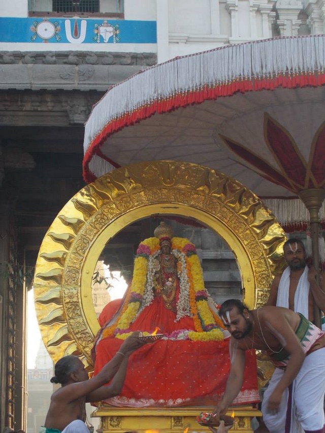 Kanchi Varadharaja  Rathasapthami SUrya Prabhai 2014 -24