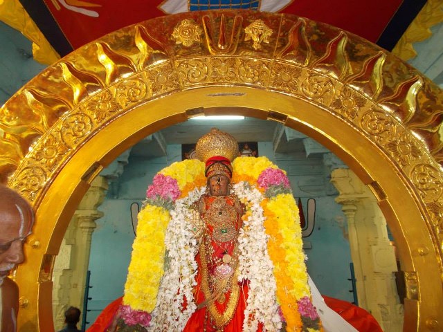 Kanchi Varadharaja  Rathasapthami SUrya Prabhai 2014 -25
