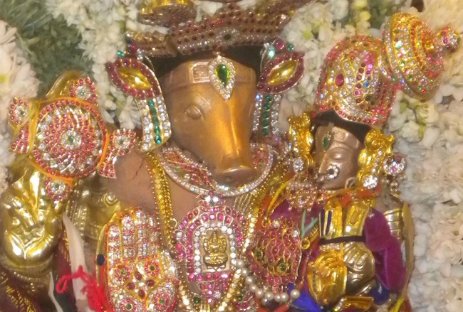 Kumbakonam Adhivaraha Perumal Temple Masi Magam  Utsavam day 5 2014 -2