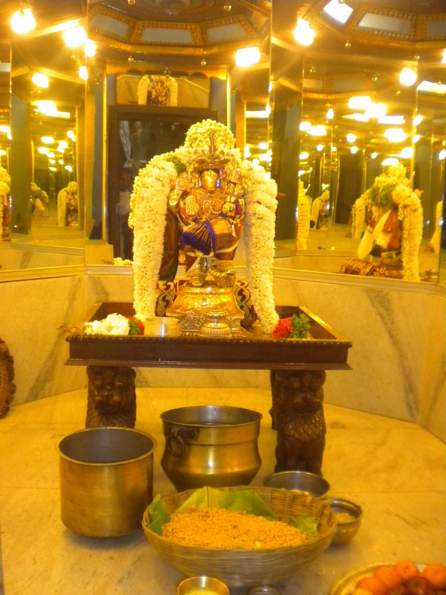 Kumbakonam Adhivaraha Perumal Temple Masi Magam  Utsavam day 5 2014 -3