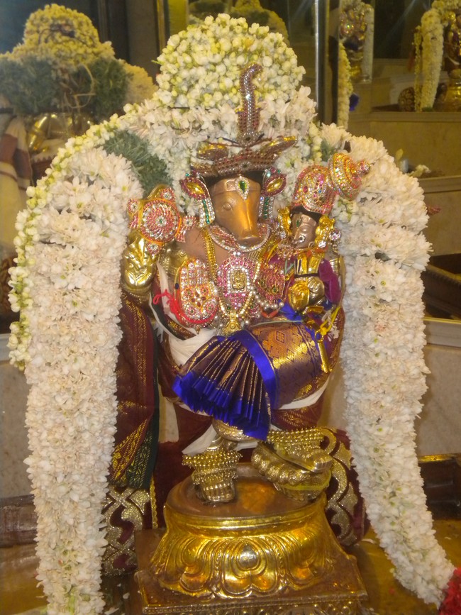 Kumbakonam Adhivaraha Perumal Temple Masi Magam  Utsavam day 5 2014 -4