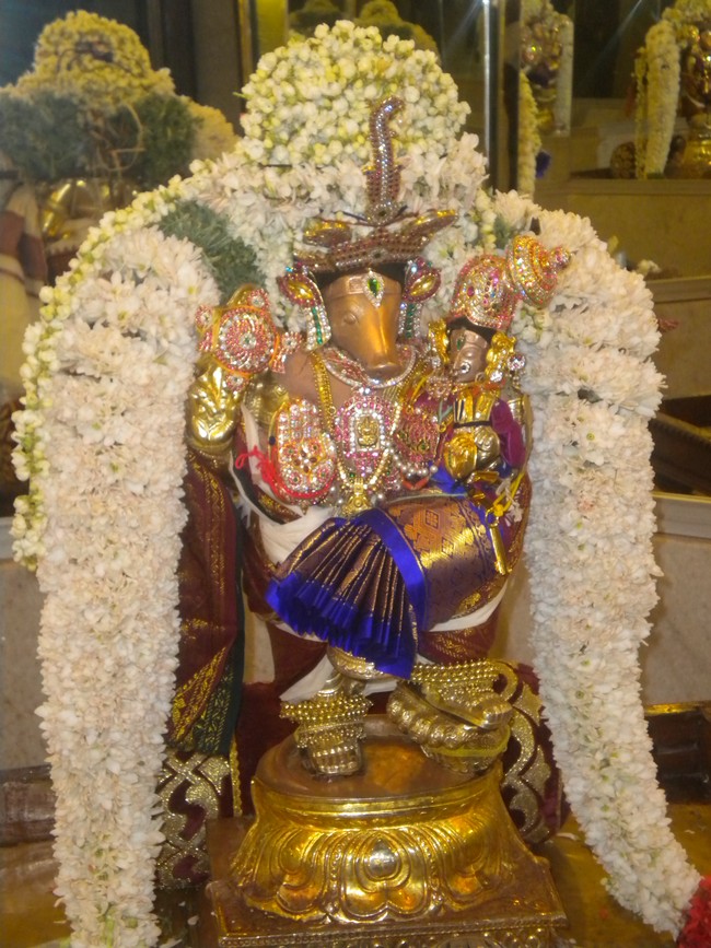 Kumbakonam Adhivaraha Perumal Temple Masi Magam  Utsavam day 5 2014 -5