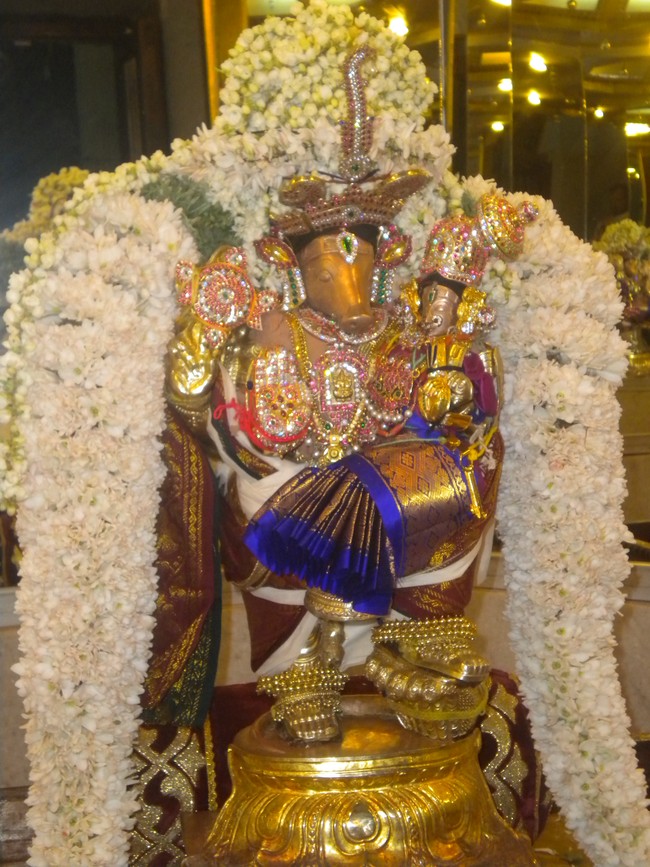 Kumbakonam Adhivaraha Perumal Temple Masi Magam  Utsavam day 5 2014 -6