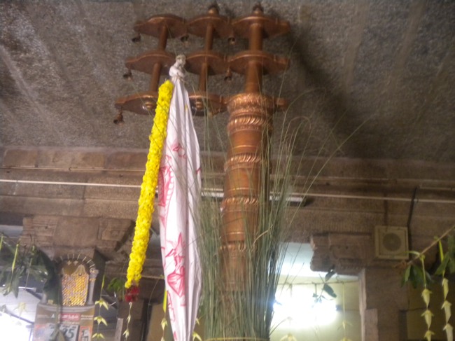 Kumbakonam Adhivaraha Swamy Masi Magam Dvajarohanam 2014--06