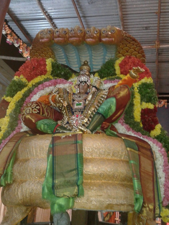 Kumbakonam Adhivarahar Temple Masi Maga Utsavam day 2 2014 -2