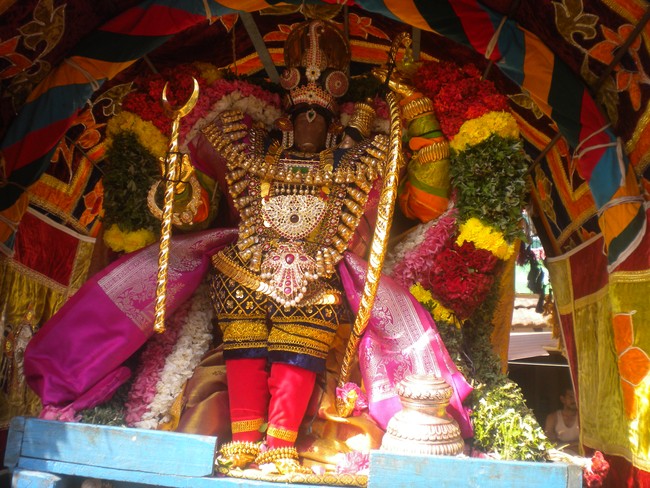 Kumbakonam Adhivarahar Temple Masi Maga Utsavam day 2 2014 -6