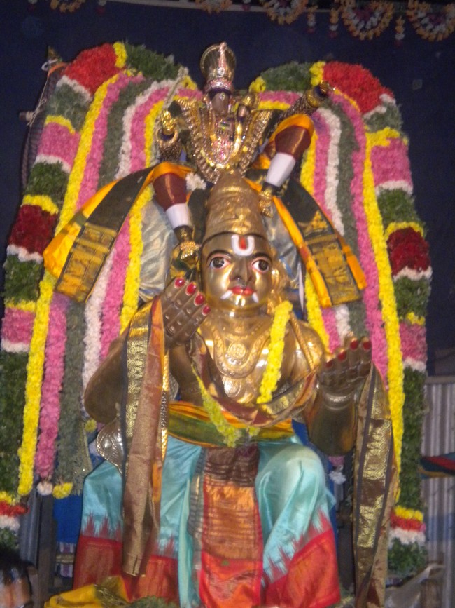 Kumbakonam AdiVarahar Temple Masi Maga Utsavam day 4 2014 -3