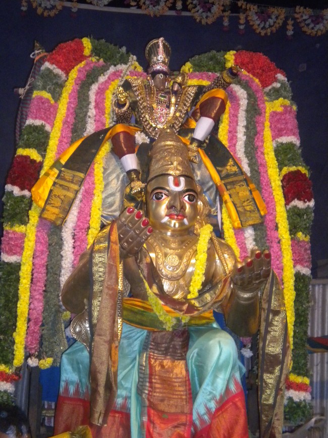 Kumbakonam AdiVarahar Temple Masi Maga Utsavam day 4 2014 -4