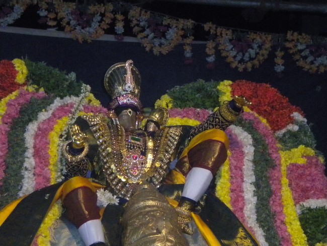 Kumbakonam AdiVarahar Temple Masi Maga Utsavam day 4 2014 -5
