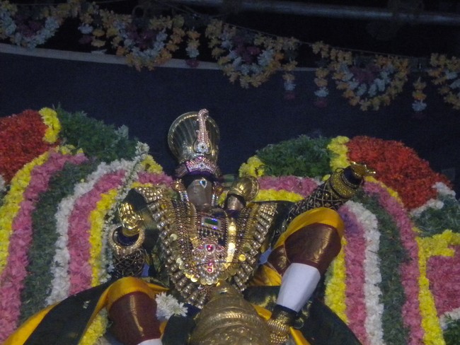 Kumbakonam AdiVarahar Temple Masi Maga Utsavam day 4 2014 -6