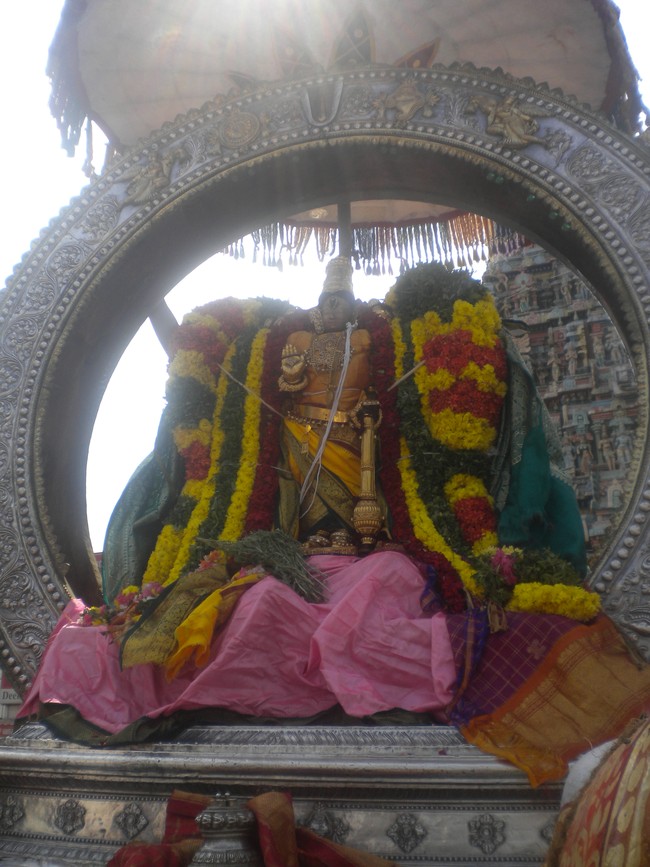 Kumbakonam Aravamudhanl Rathasapthami Morning Purappadu 2014 -13