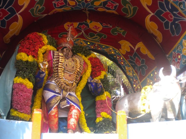 Kumbakonam Chakrapani Temple Masi Maga Utsavam day 2 2014 -06