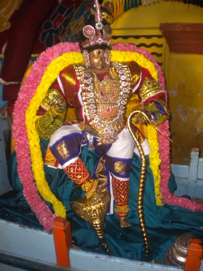 Kumbakonam Chakrapani Temple Masi Maga Utsavam day 4 2014 -03