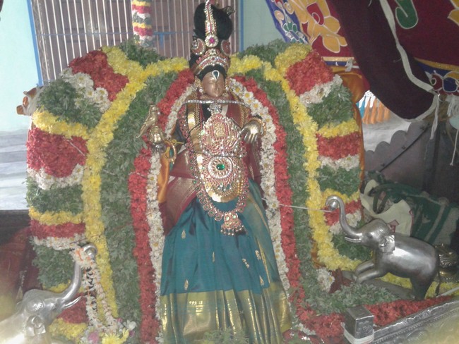 Kumbakonam Rajagopalan Temple Masi Maga Utsavam day 2 2014 -1