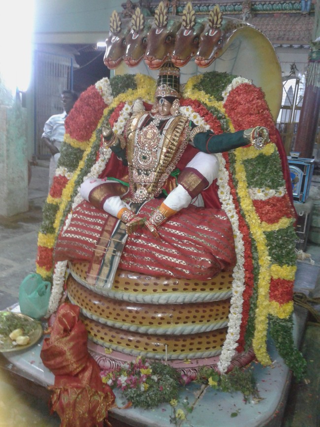 Kumbakonam Rajagopalan Temple Masi Maga Utsavam day 2 2014 -3
