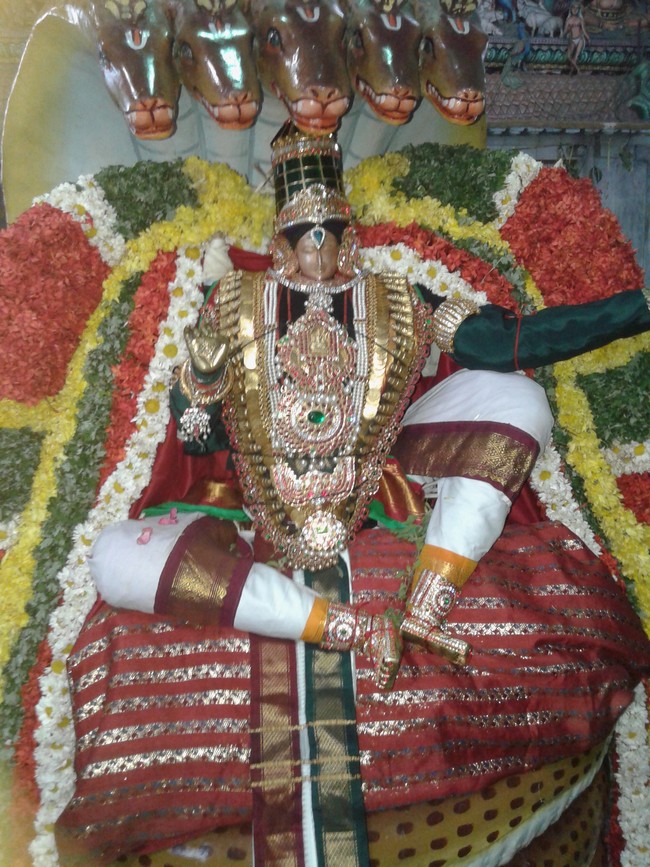 Kumbakonam Rajagopalan Temple Masi Maga Utsavam day 2 2014 -4