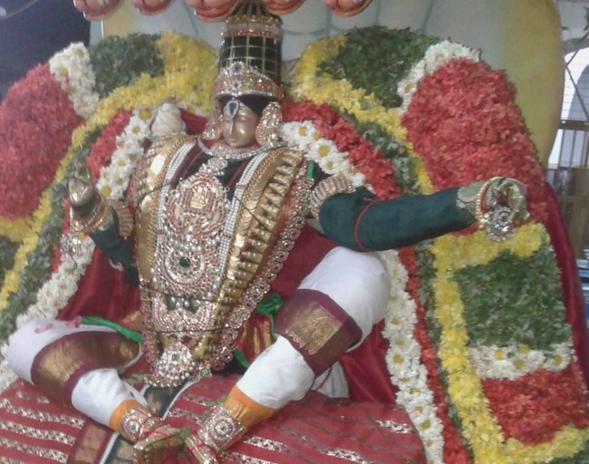 Kumbakonam Rajagopalan Temple Masi Maga Utsavam day 2 2014 -6