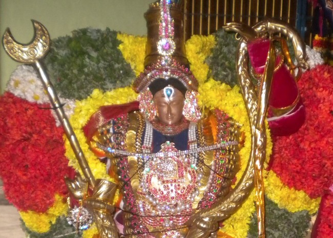 Kumbakonam Rajagopalan Temple Masi Maga Utsavam day 4 2014 -01