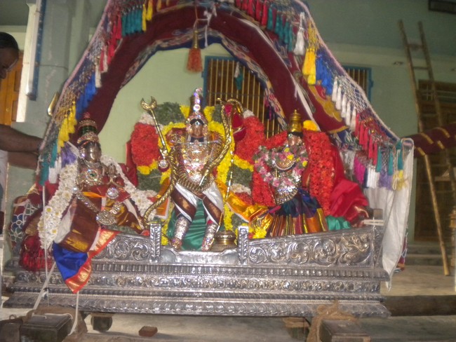 Kumbakonam Rajagopalan Temple Masi Maga Utsavam day 4 2014 -06
