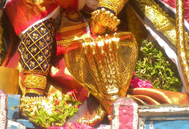 Kumbakonam Sri Adhivaraha swamy  Temple Masi Magam Utsavam day 5 2014 -1