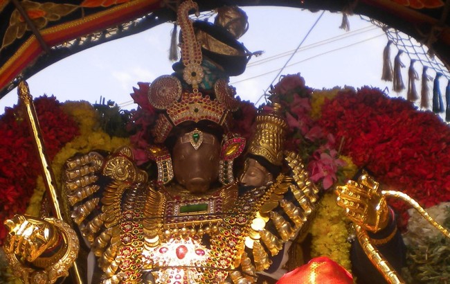 Kumbakonam Sri Adhivaraha swamy  Temple Masi Magam Utsavam day 5 2014 -3