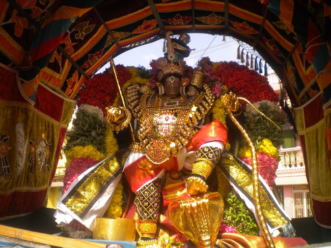 Kumbakonam Sri Adhivaraha swamy  Temple Masi Magam Utsavam day 5 2014 -4