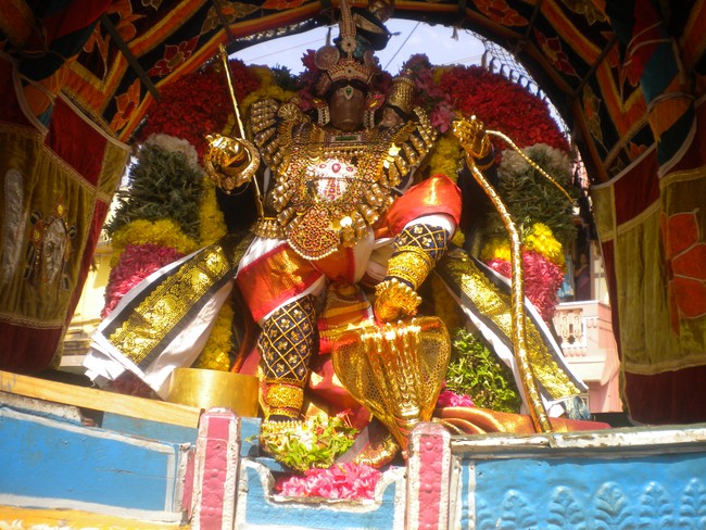 Kumbakonam Sri Adhivaraha swamy  Temple Masi Magam Utsavam day 5 2014 -5