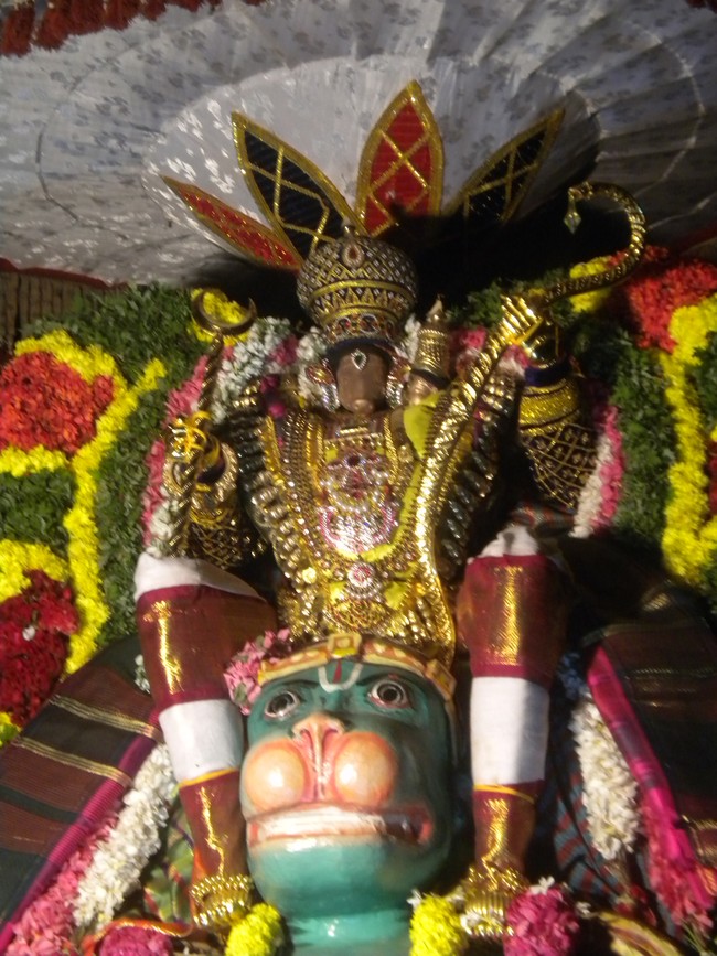 Kumbakonam Sri Adhivaraha swamy  Temple Masi Magam Utsavam day 5 2014 -7