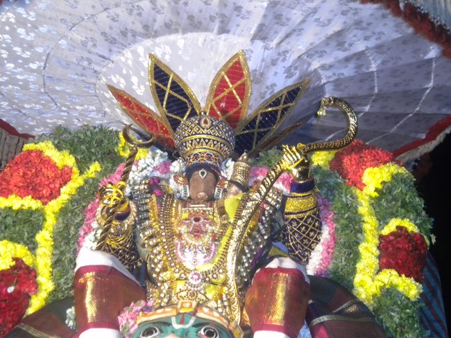 Kumbakonam Sri Adhivaraha swamy  Temple Masi Magam Utsavam day 5 2014 -8