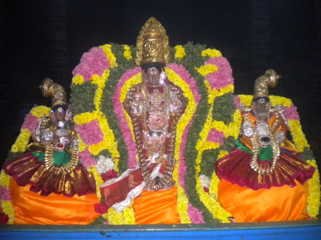 Kumbakonam Sri Chakarapani Temple Masi Magam Dvajarohanam 2014--05