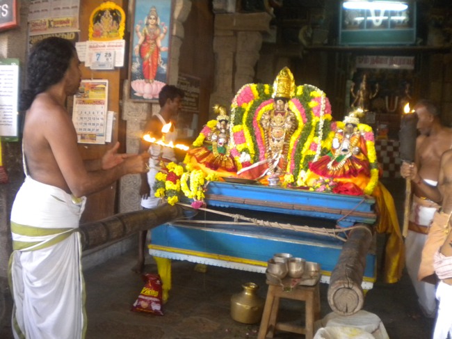 Kumbakonam Sri Chakarapani Temple Masi Magam Dvajarohanam 2014--08