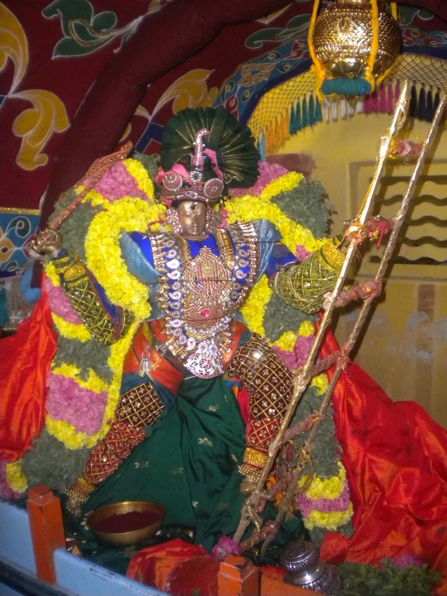 Kumbakonam Sri Chakrapani Temple Masi Magam Utsavam day 5 2014 -05