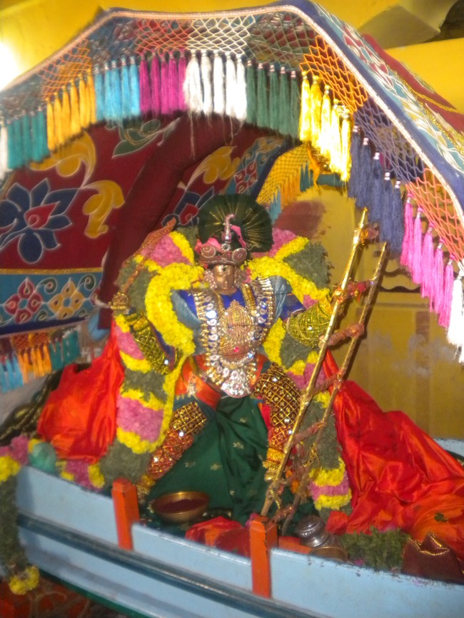 Kumbakonam Sri Chakrapani Temple Masi Magam Utsavam day 5 2014 -08