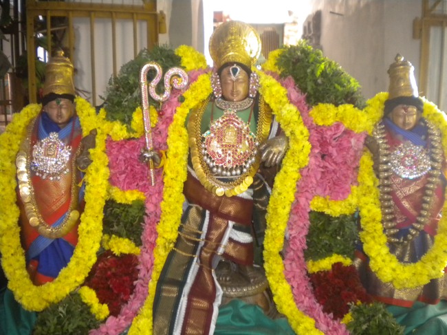 Kumbakonam Sri Rajagopala swamy Masi Magam Dvajarohanam 2014--05