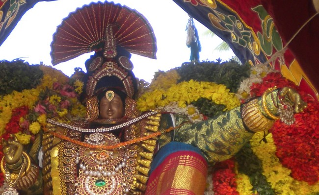 Kumbakonam Sri Rajagopala swamy  Temple Masi Magam Utsavam day 5 2014 -1