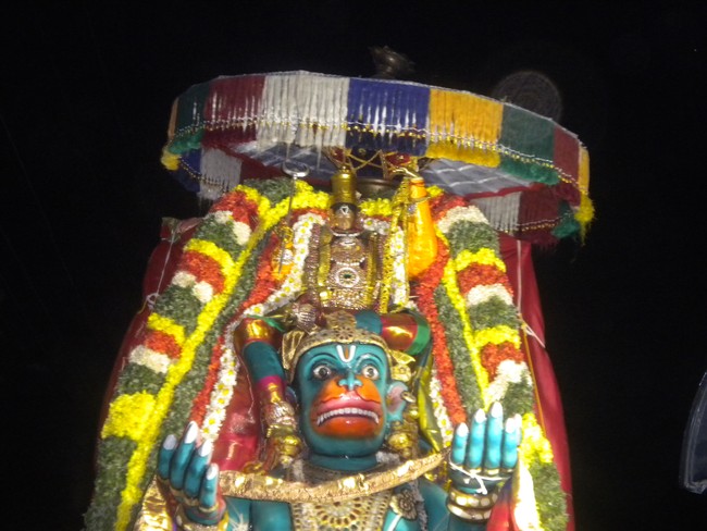 Kumbakonam Sri Rajagopala swamy  Temple Masi Magam Utsavam day 5 2014 -7