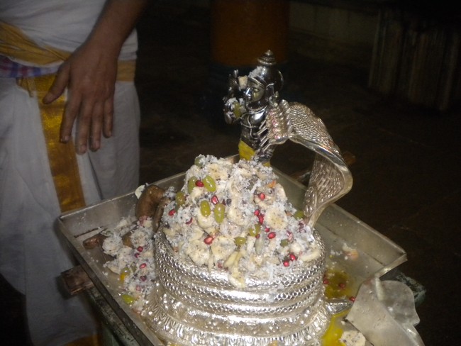 Kumbakonam Sri Ramar Kovil Santhana Gopalan Thiruvananthazhwan Pradhishtai 2014 -9