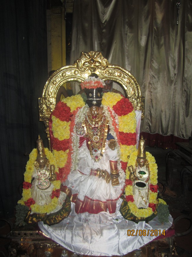MGR Nagar Prasanna Venkatesa Perumal Temple Avathara Utsavam 2014 -3