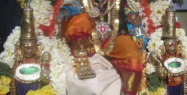 MGR Nagar Venkatesa Perumal Avathara Utsavam day3   2014 -02