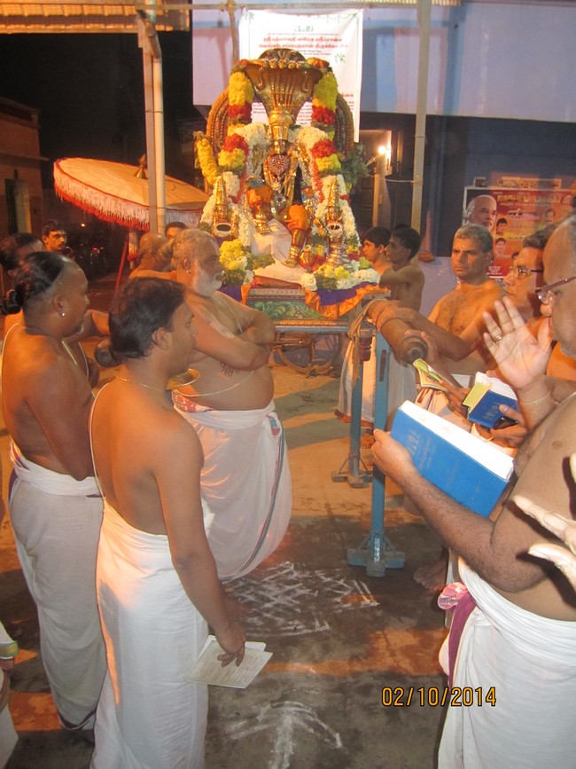 MGR Nagar Venkatesa Perumal Avathara Utsavam day3   2014 -06