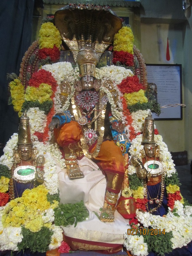 MGR Nagar Venkatesa Perumal Avathara Utsavam day3   2014 -09